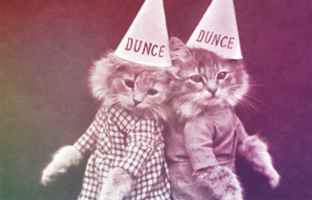 dunce-cats.jpg