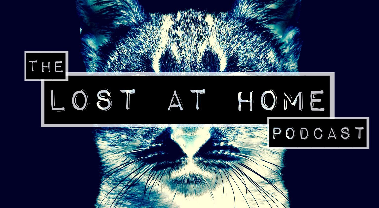 Lost At Home Podcast header image 1