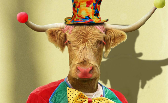 cow-clown-cropped.jpg