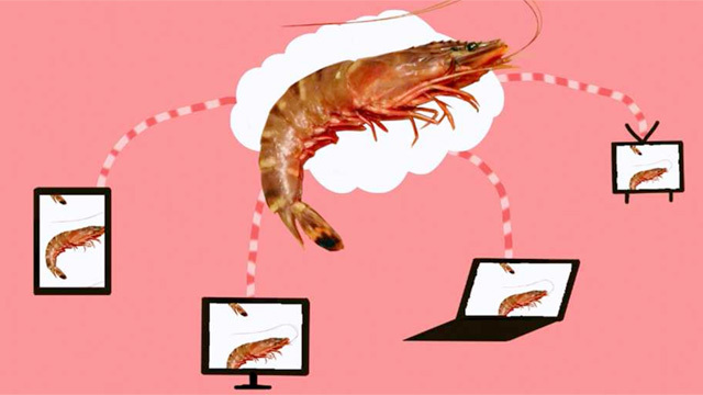 shrimp-cloud.jpg